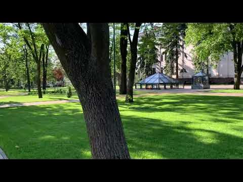 8 июня 2021 г. background