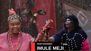 IMULE MEJI