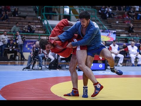 European sambo Championship 2015. Results of the second day background