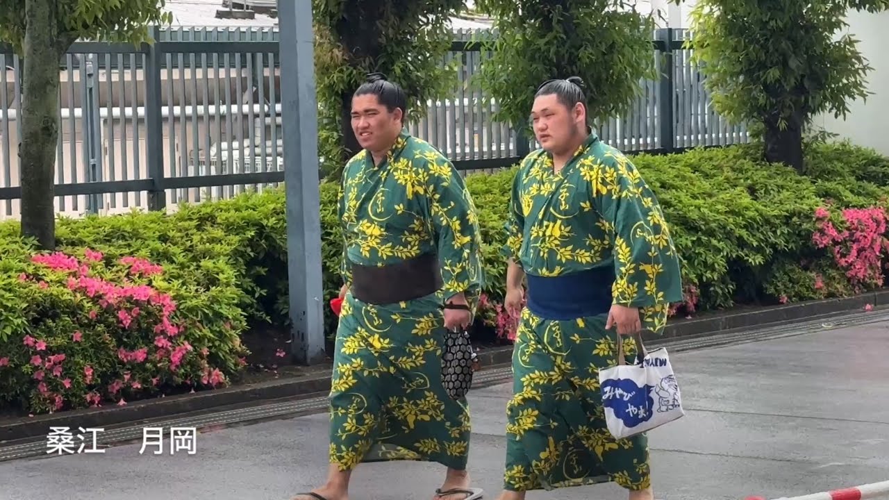 桑江 月岡 三田 生田目 五島 丹治 宮乃風 入待ち 番傘姿☂️ 【大相撲令和7年5月場所】7日目 2025/5/17 background