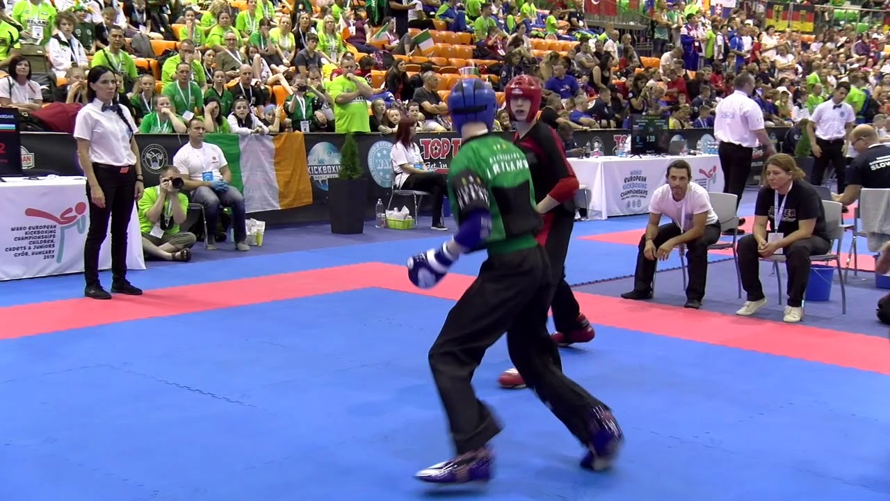 Dylan McClelland v Aleksandar Avramov WAKO European Championships 2019 backdrop