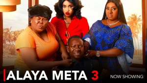 ALAYA META 3