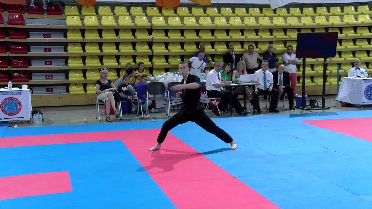 Daniil Tsarkov WAKO European Championships 2017