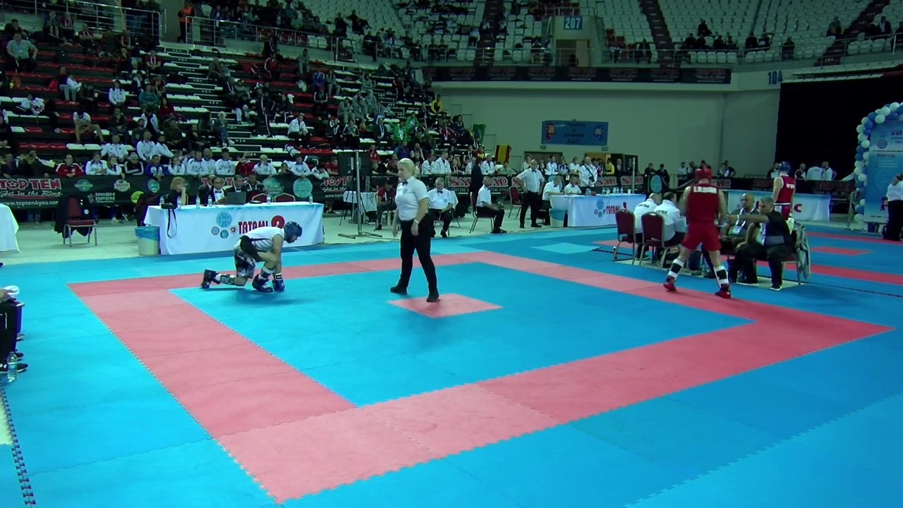 Mahdi Khalili v Anil Hamidi WAKO World Championships 2019