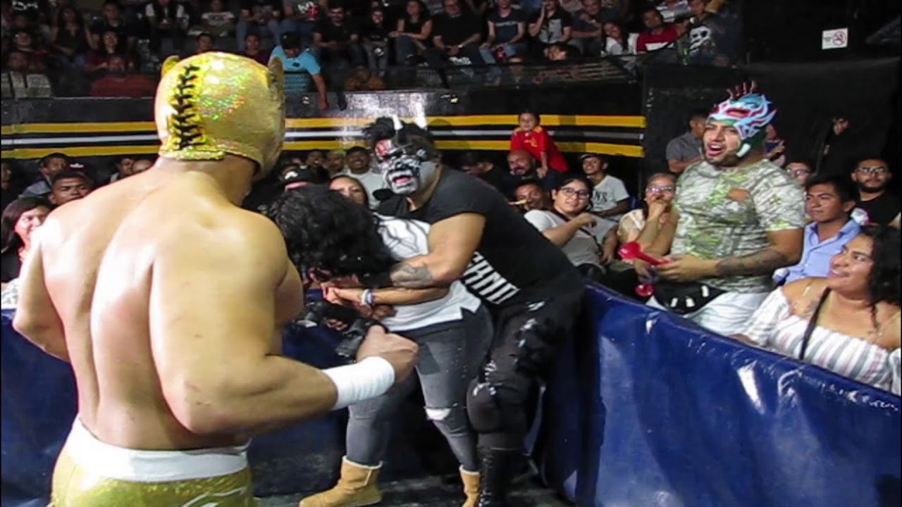 Ave Rex, Eterno y Demonio Inf. VS The Tiger, Freelance e Hijo de Alebrije | Arena Naucalpan