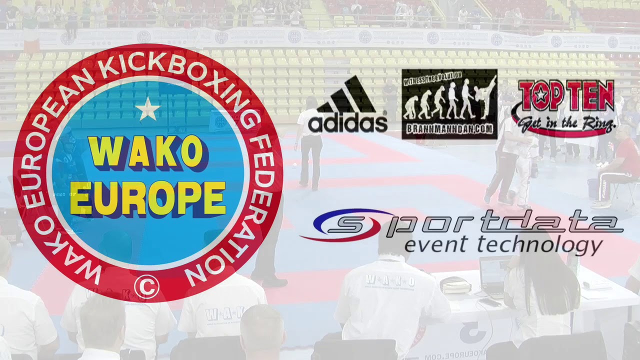 Alex Fellender Evans v Nikolasz Roman WAKO European Championships 2017