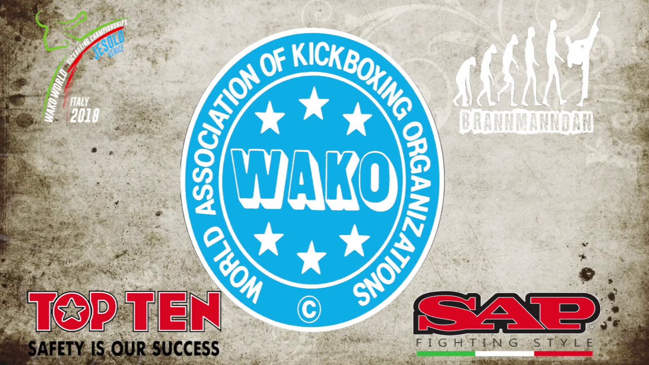 Anatolii Maksimov v Sebastan Smaila WAKO World Championships 2018