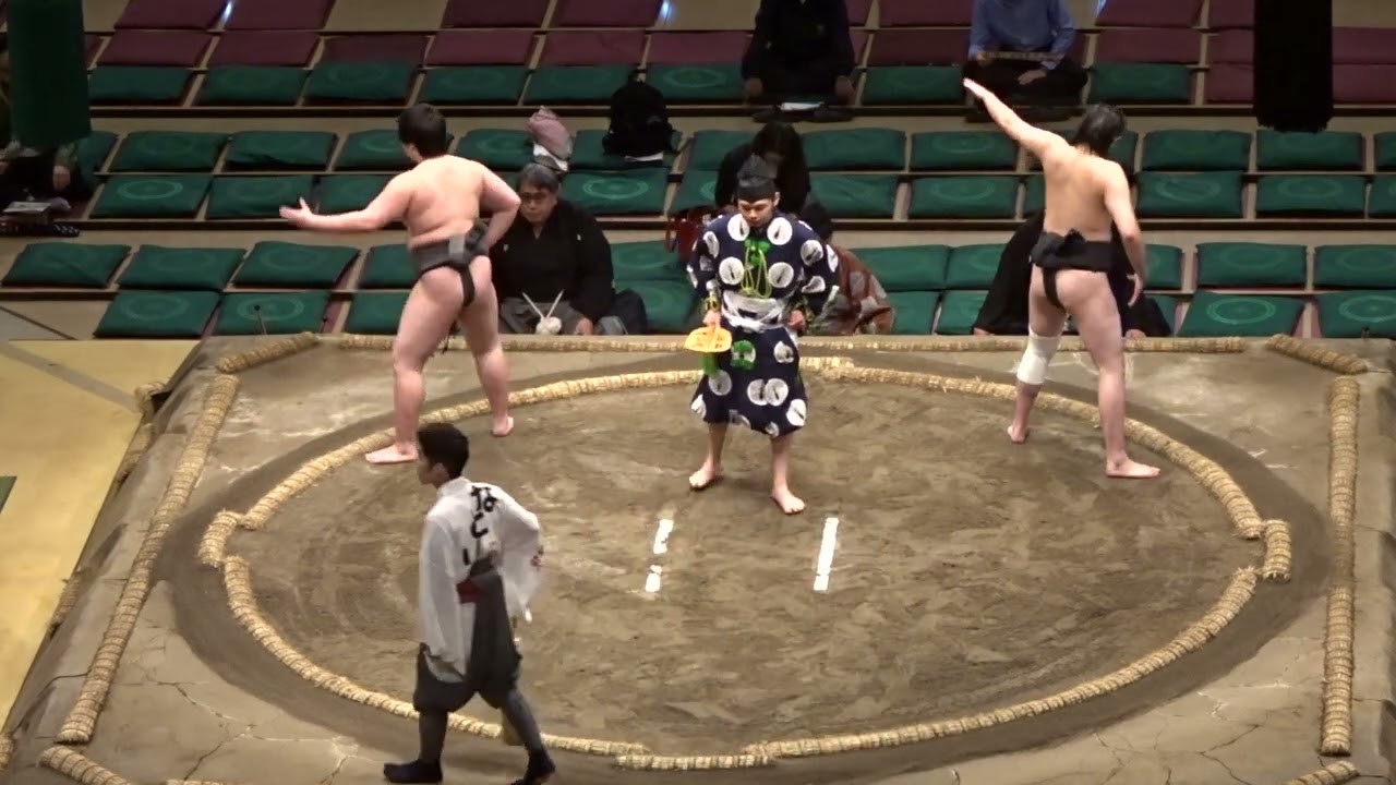 《序ノ口①》澤勇×兎富士 澤崎×琴寺尾 朝平井×照井 北斗洋×城戸 朝力丸×若長谷川【大相撲令和7年5月場所】千秋楽 2025/05/25 夏場所 jonokuchi①