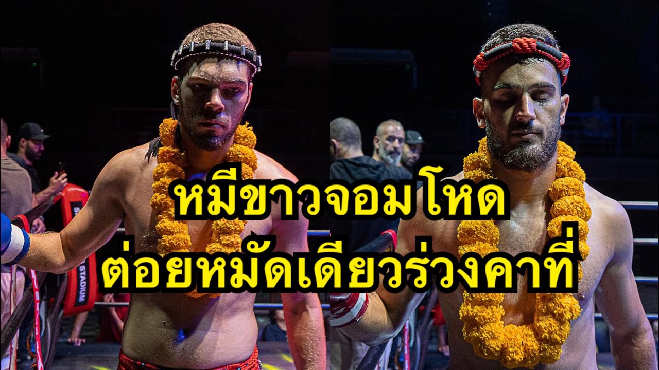 ฝรั่งสุดห้าวเจอรัสเซียสวนหมัดเดียวน๊อคยก1 Hamad Tiger MT vs Antonio Phuket King MT