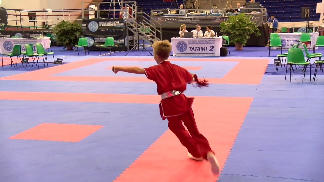Maksim Pogorelov Weapons WAKO World Championships 2018