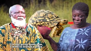 IJAPA AGBARA - AN AFRICAN YORUBA MOVIE