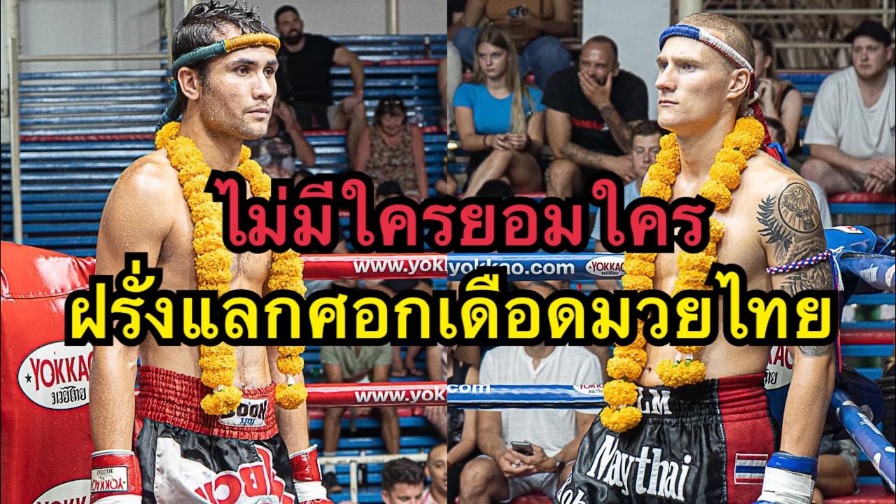 ไม่มีใครยอมใคร ฝรั่งชกมวยไทยสับศอกกันโคตรเดือด Hami Bangtao Muaythai vs Yan Viperwork Muaythai
