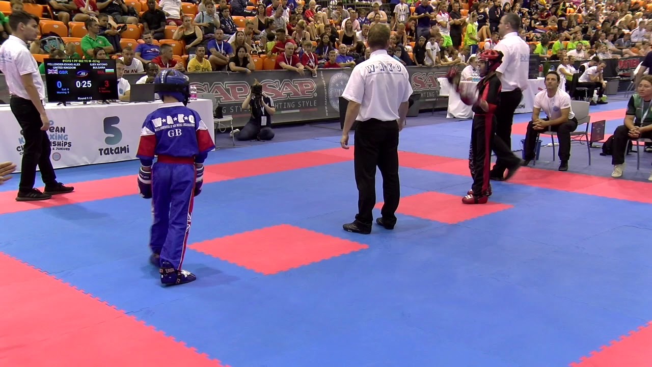 Alex Fellender Evans v Antonio Iliev WAKO European Championships 2019