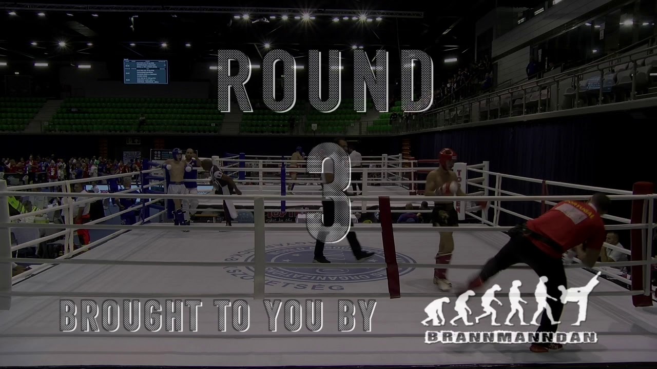 Eduardo Pareira v John Marinkovitch WAKO European Championships 2019
