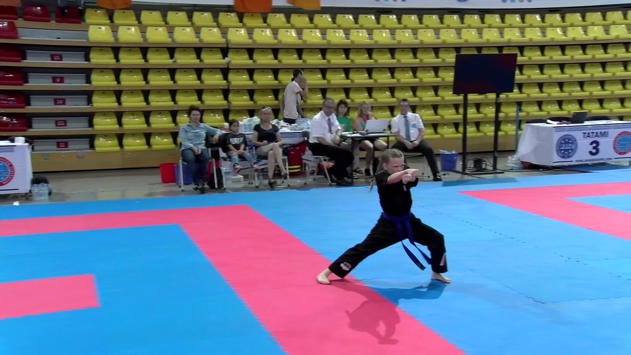 Sarah Brookes WAKO European Championships 2017 background
