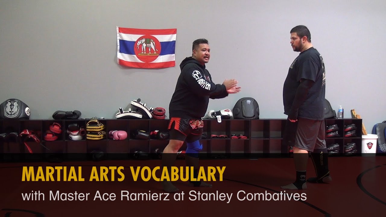 Martial Arts Vocabulary with Master Ace Ramierz background