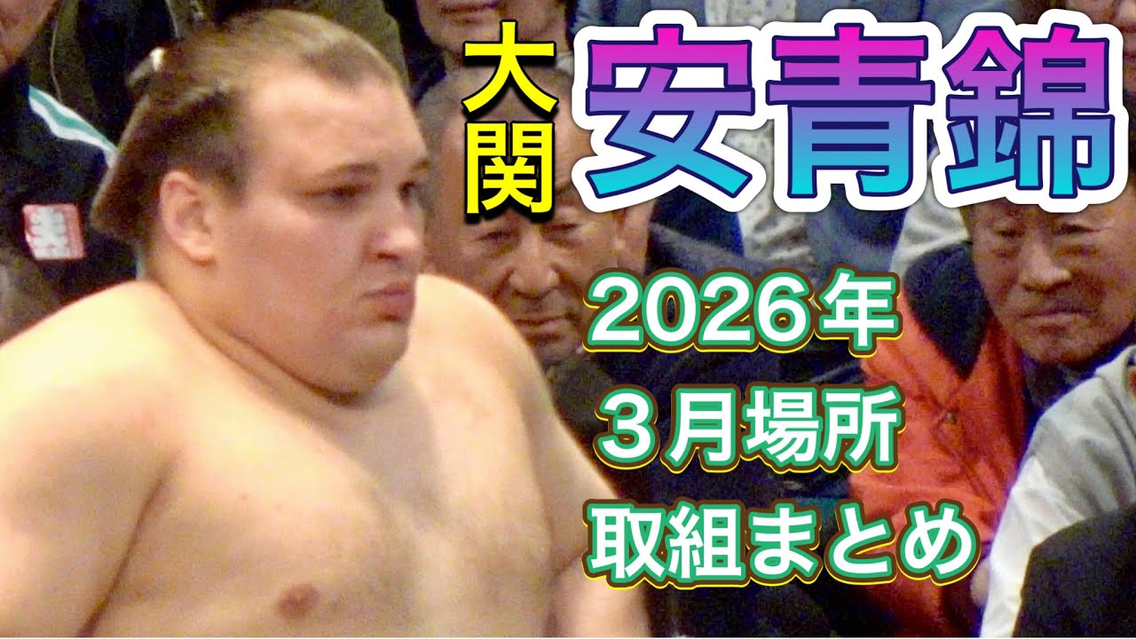 新大関 安青錦 2026年3月場所 取組まとめ 『入門以来 初負け越し』【大相撲令和8年3月場所】大阪場所AONISHIKI【SUMO OSAKA】2026/03
