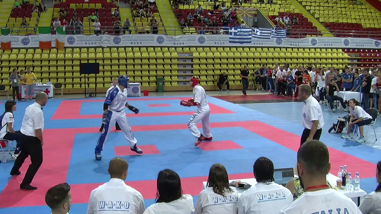 Matteo Berto v Gabriel Oliva WAKO European Championships 2017 background