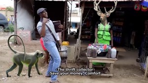 OKO EBORA ALAGBO