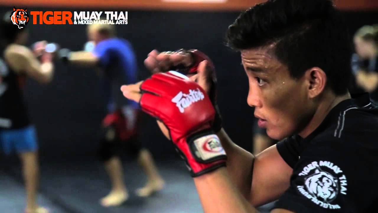 ONE FC MMA Fighter: Chan Rothana backdrop