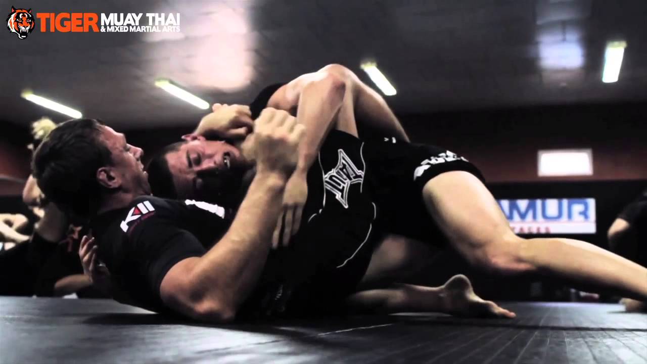 The Tiger Muay Thai MMA Fight Team and Program backdrop