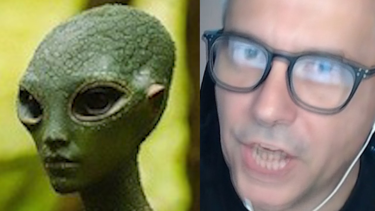 What Really Happens to Animals After UFO Sightings? background