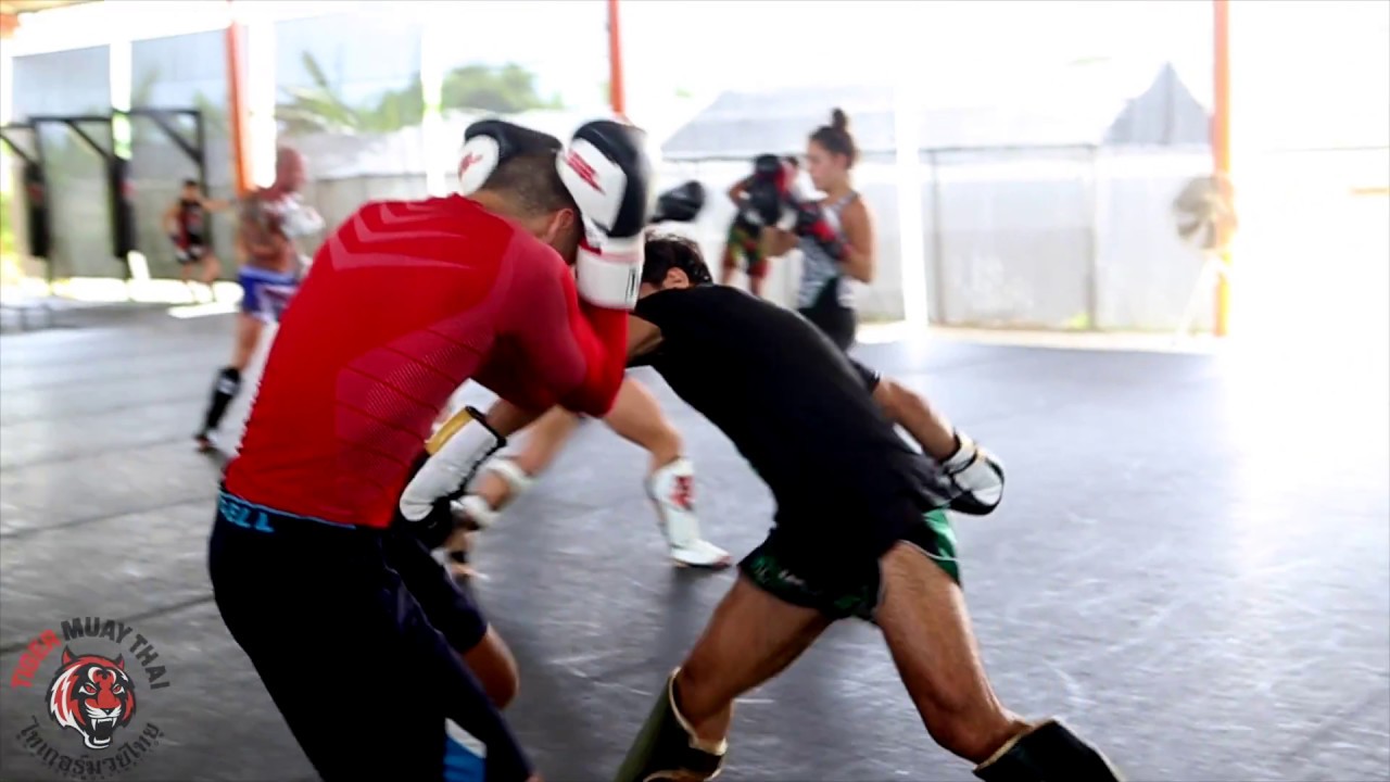 TMT Fighter I Ali Motamed