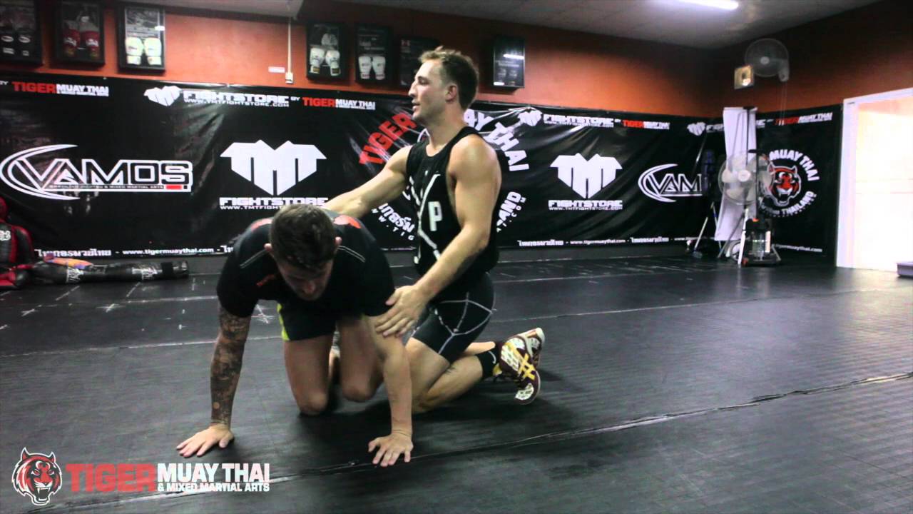 MMA/Wrestling Technique background
