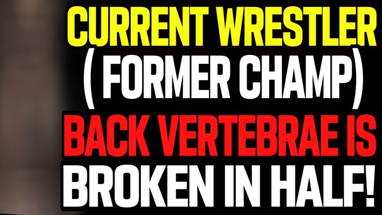 WWE News! MVP Wins Brazilian Jiu Jitsu! AEW To Sign Rocks New Cousin! CM Punk Attempted To Buy ROH!