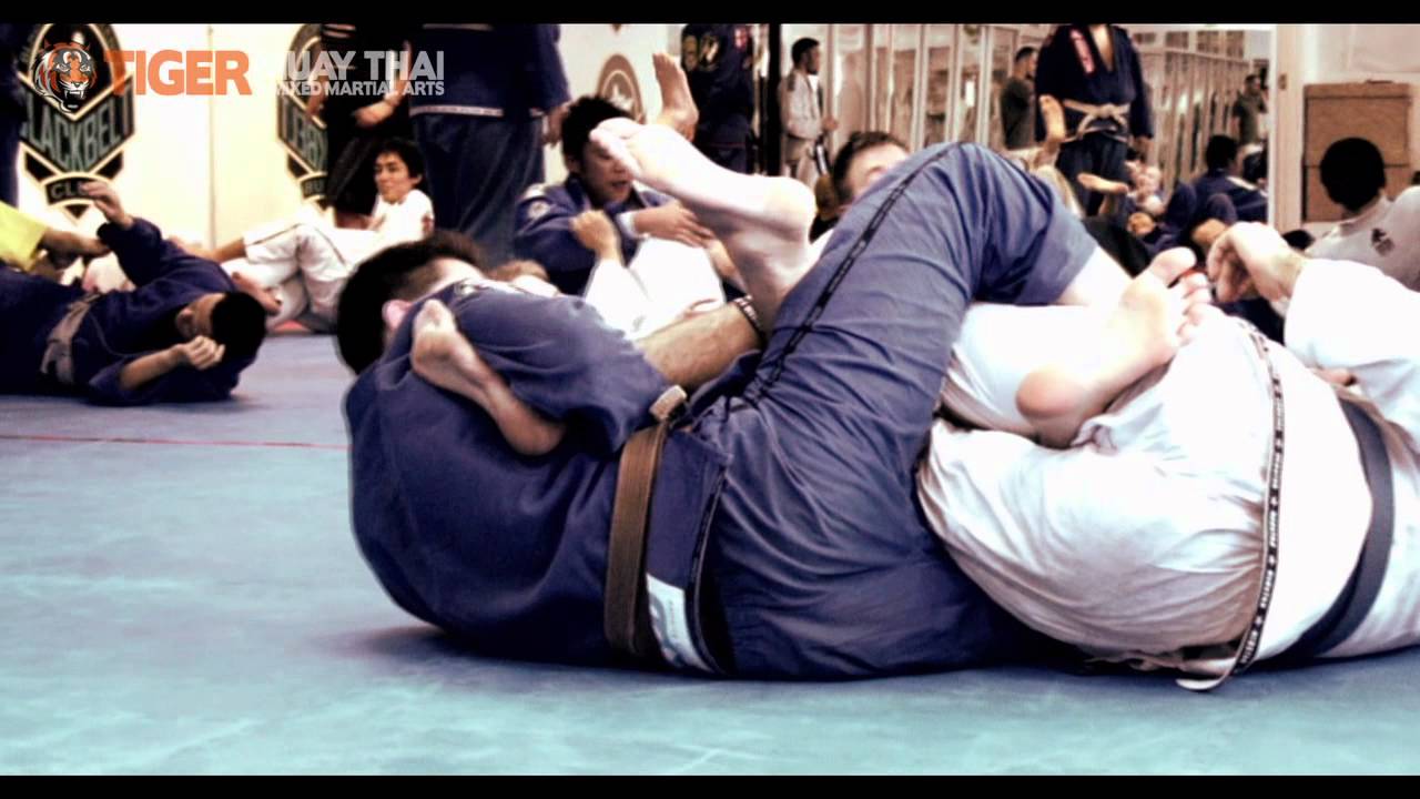 Southeast Asia Brazilian Jiu Jitsu Fight for Thailand Flood victims DVD Teaser background