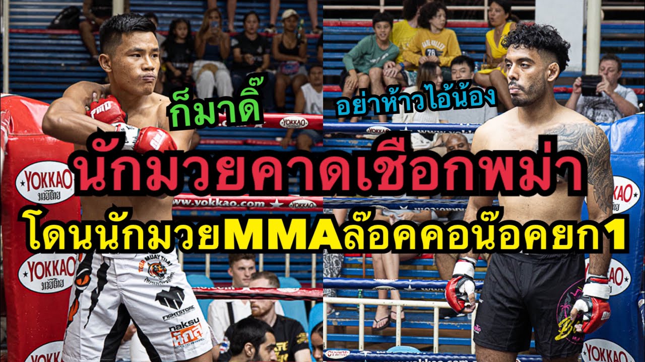 นักมวยคาดเชือกพม่าสุดห้าวโดนนักมวยMMAจับล๊อคคอน๊อคยกแรก San Aung Dashi vs Villiam Bangtao MT & MMA backdrop