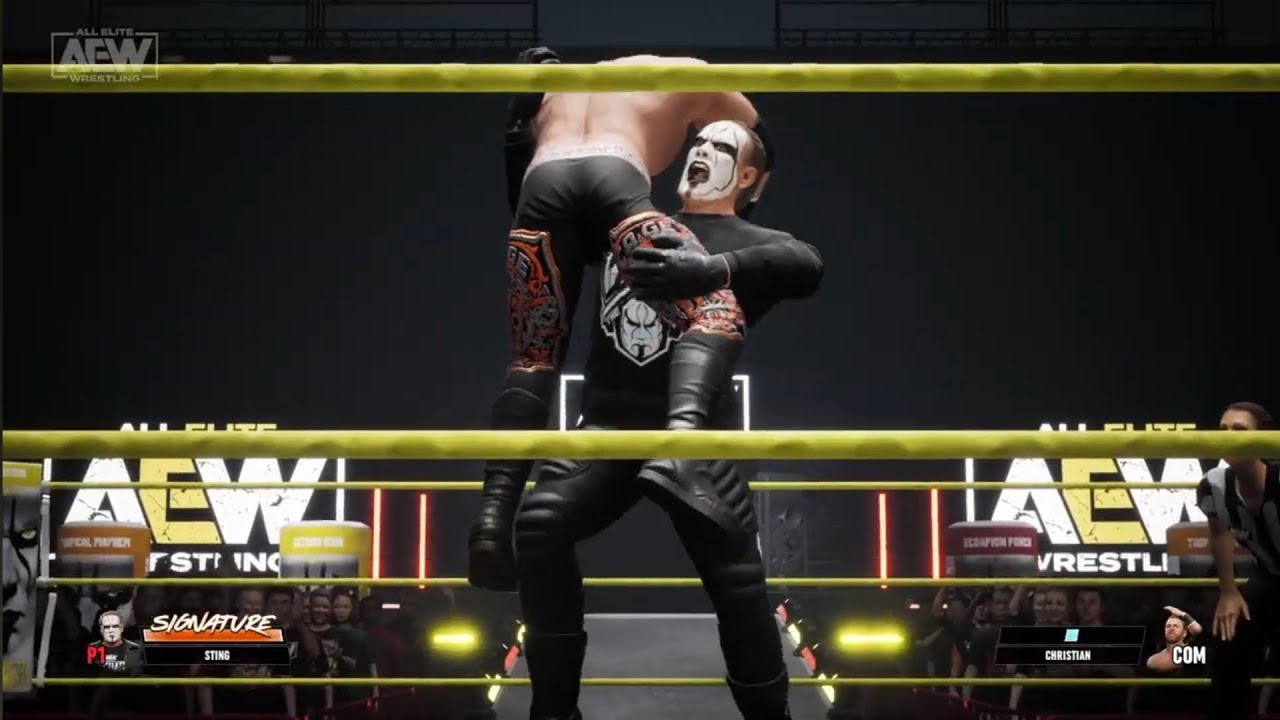 Sting vs Christian Cage. Total Non Stop Elite. AEW: Fight Forever