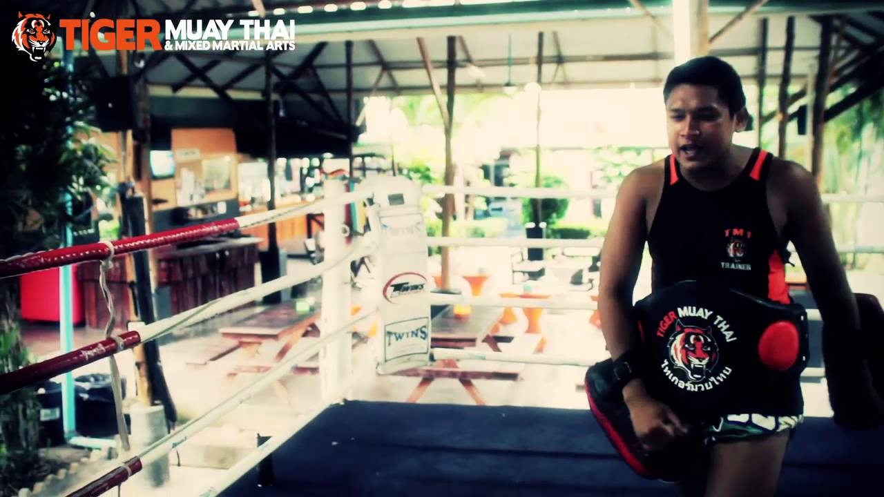 Jason "The Zen Master" Saggo @ Tiger Muay Thai & MMA background