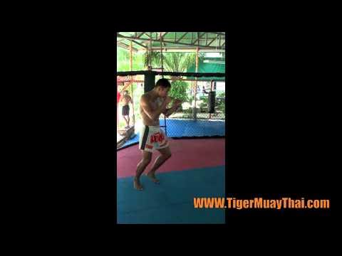 Tiger Muay Thai: Stance, Balance, and movement technique background