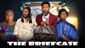 THE BRIEFCASE