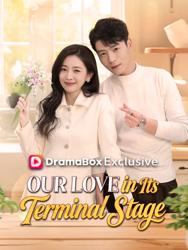 Our Love in Its Terminal Stage poster