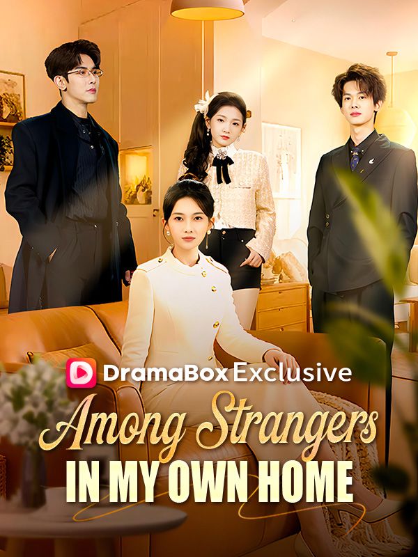 Among Strangers in My Own Home poster