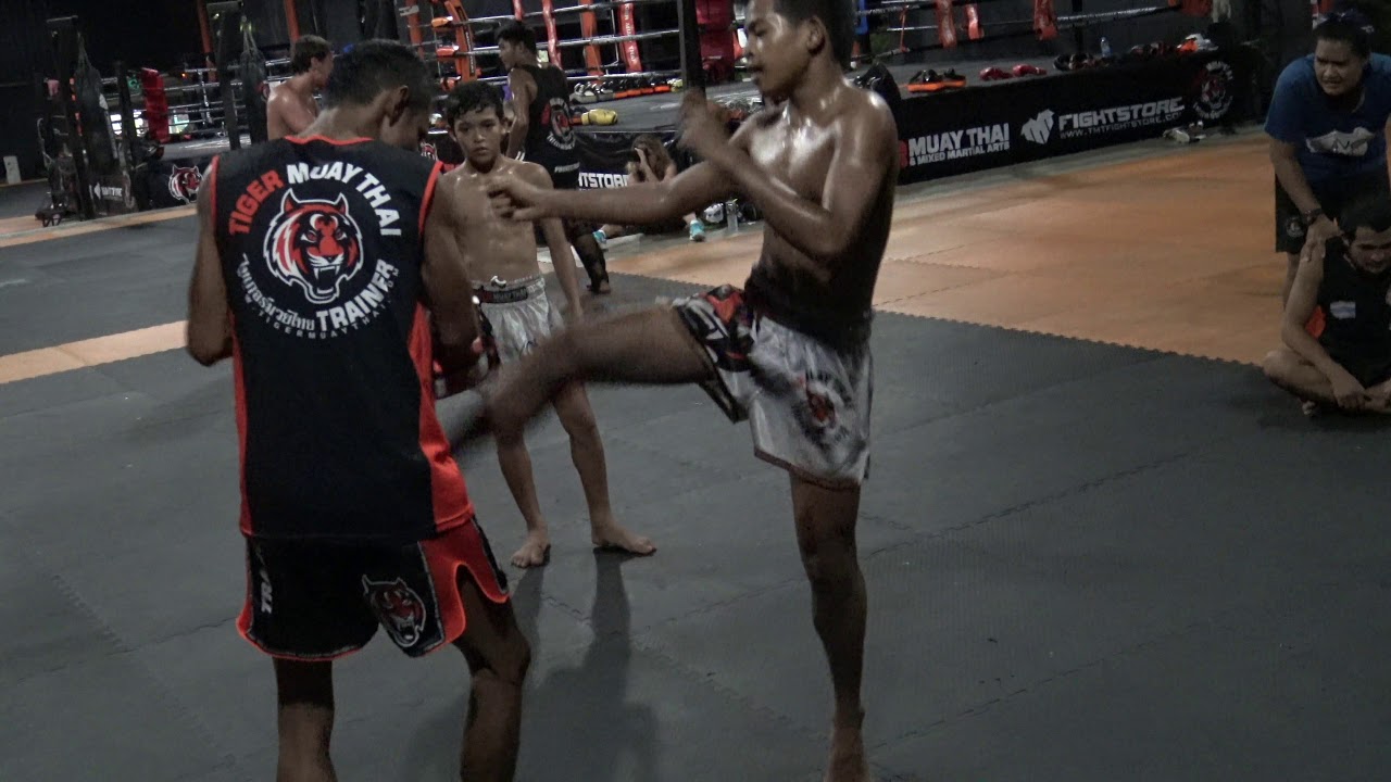 M-2 100 Kicks On Pads background
