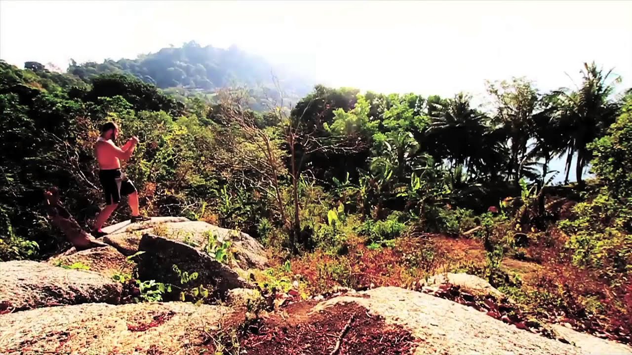 Tiger Muay Thai Commercial background