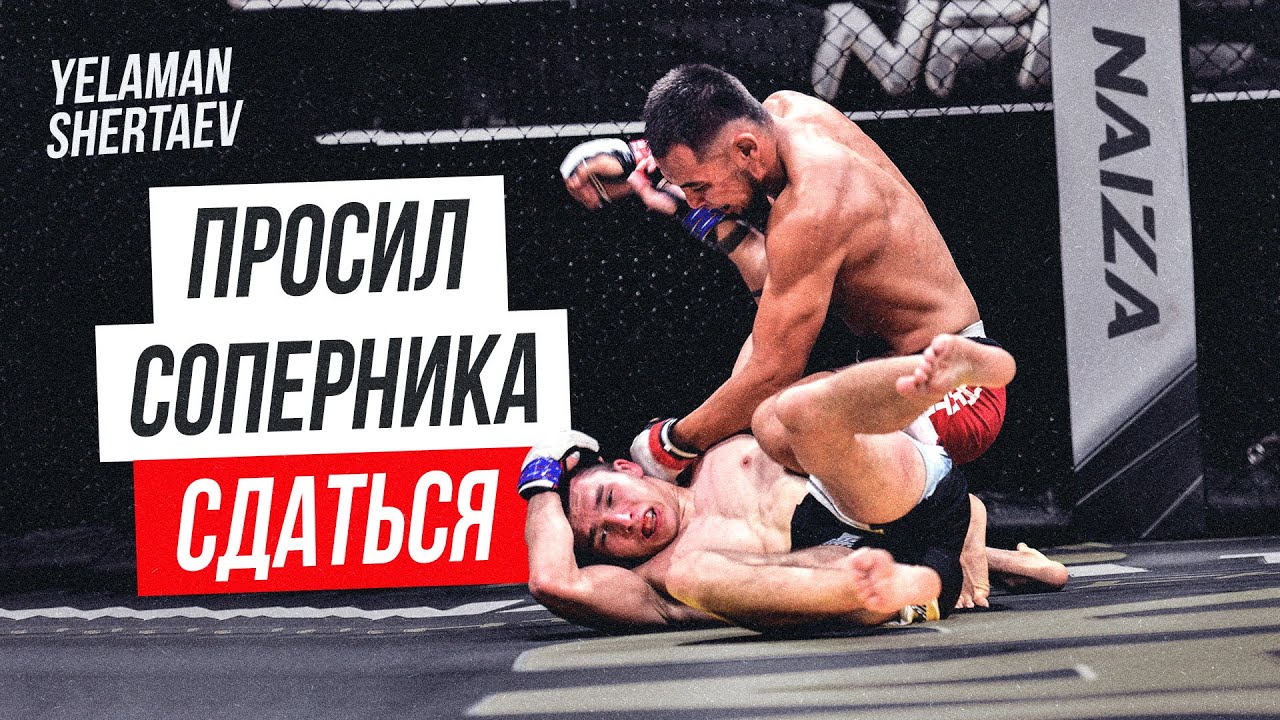 Казахский боец ЗАБИЛ своего соперника! Еламан Шертаев vs Андрей Сколыш | NAIZA 33 background