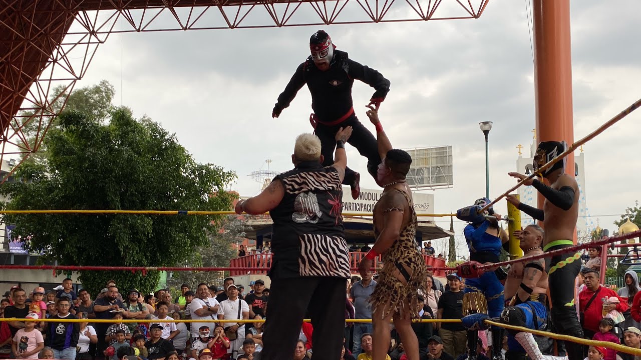 Octagoncito, Golden, Golden Girl y Golden Jr Vs Mosco X Fly, Mosco X Fly Jr, Caníbal Jr y Bogdam Kil
