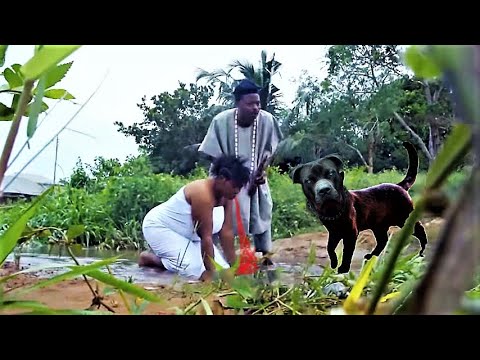AJA ADUGBO - like MARRIED TO TWO but longer