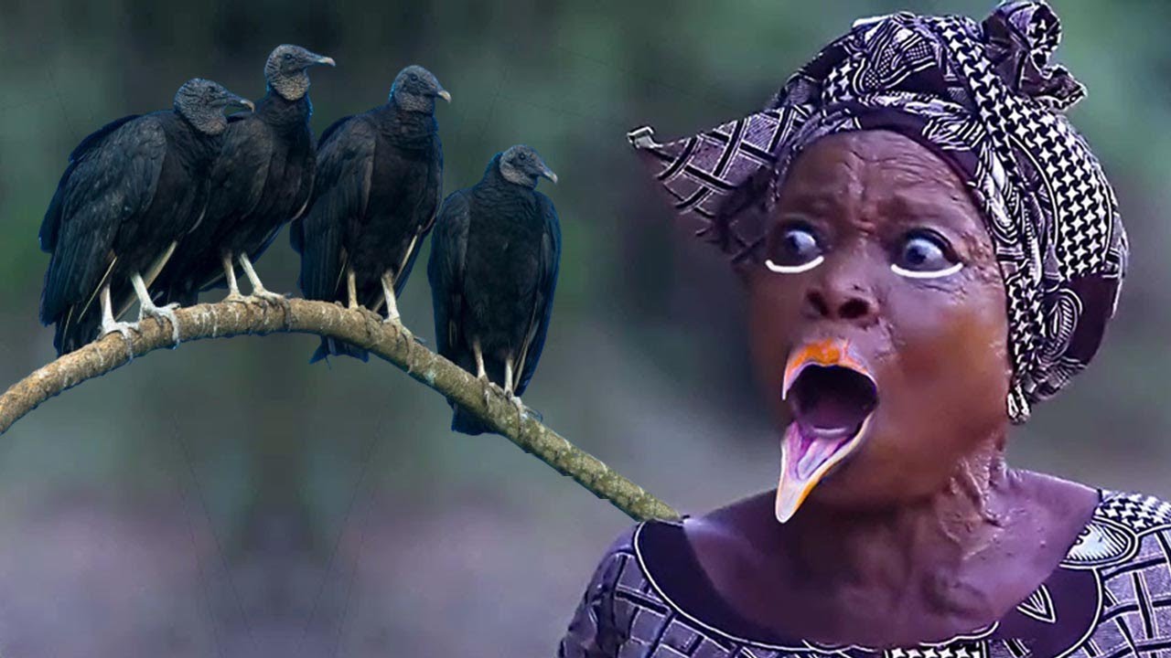AJANGIRI OLORI ELEYE