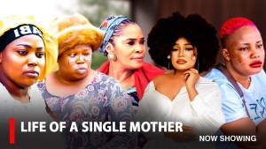 LIFE OF A SINGLE MOTHER