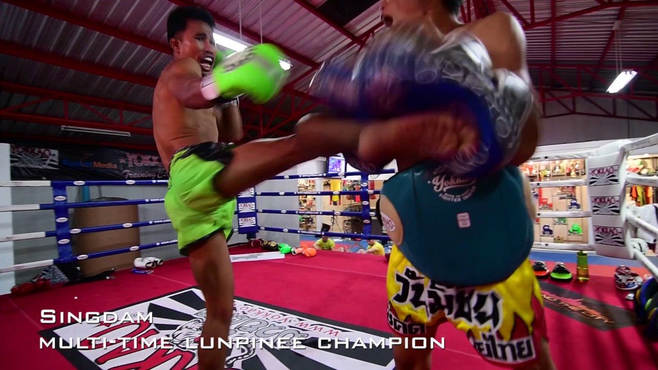 5 Muay Thai Chammpions: Singdam, Manachai, Superlek, Sprinter, Rungarai