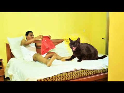 IBINU OLONGBO DUDU - like IGIDA OBINRIN but longer