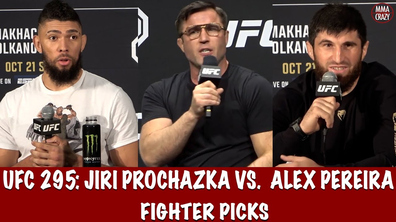 UFC 295: Jiri Prochazka vs. Alex Pereira Fighter Picks