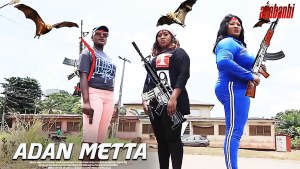 ADAN META