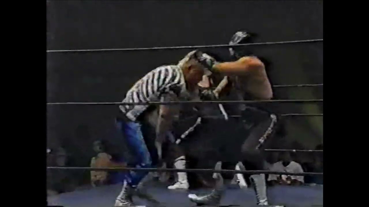 Bad Breed (Axl/Ian Rotten) vs. The Spiders (The Headbangers (6/94)