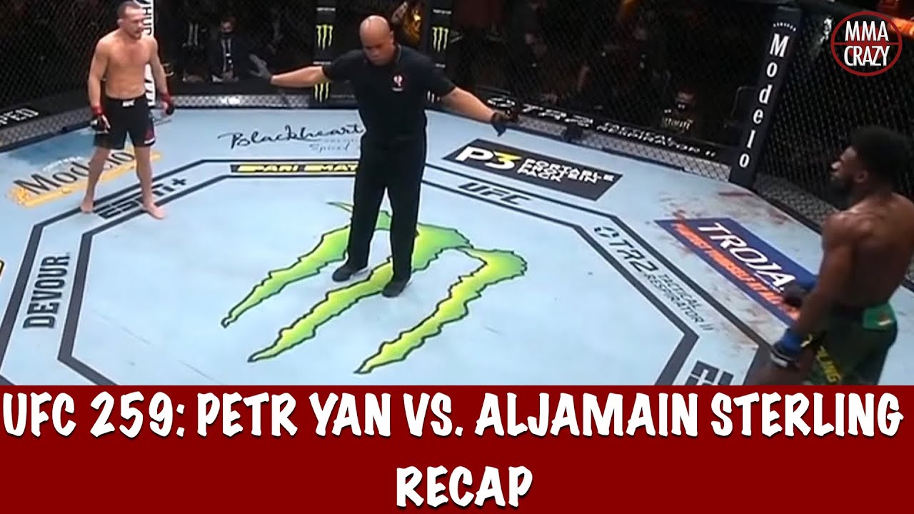 UFC 259: Petr Yan vs. Aljamain Sterling recap backdrop
